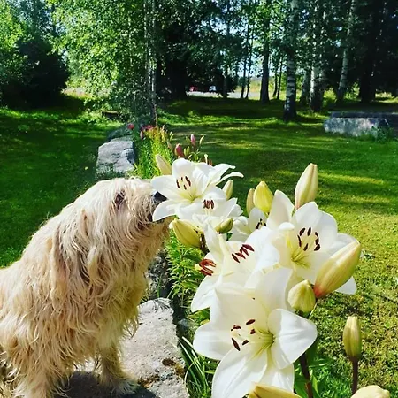 Vendégház Junamajoitus Train Station Tuuri