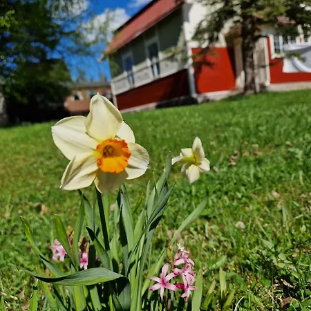 Πανσιόν Junamajoitus Train Station