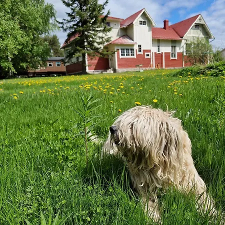 Πανσιόν Junamajoitus Train Station 3*