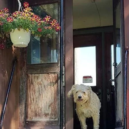 Πανσιόν Junamajoitus Train Station 3*