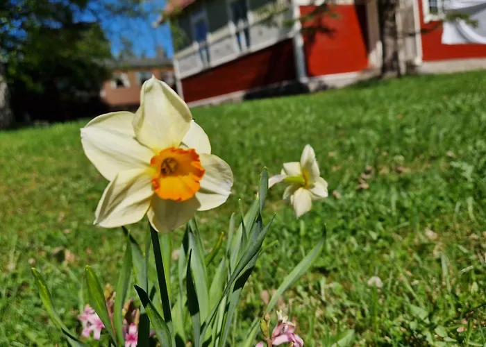 Pensionat Junamajoitus Train Station